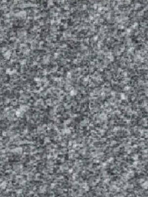 Rajshree-Grey